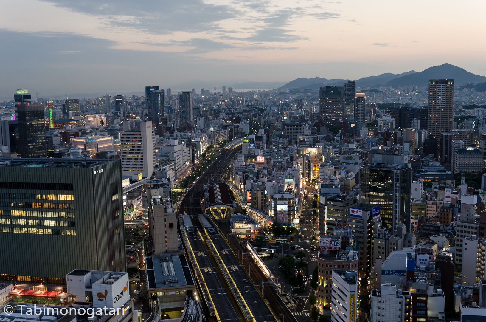 The Great Hanshin Earthquake Tabimonogatari 